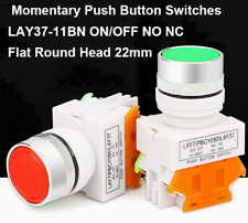 Flat Round Head 22mm Momentary