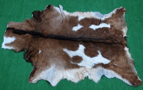 Luxury goat hide - luxury,