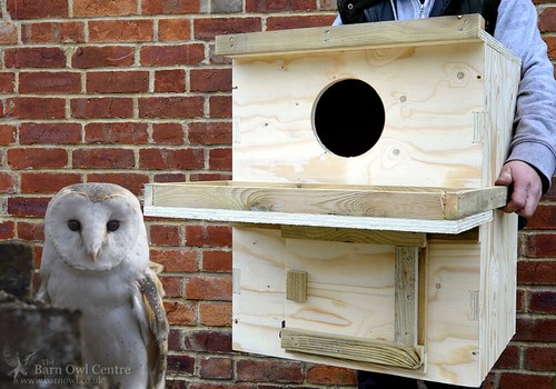 Barn owl nest box indoor - -, use