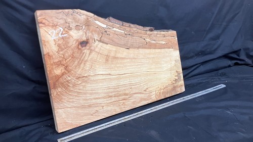 Spalted beech timber plank - beech, timber,