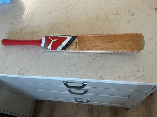 Puma 4000 kinetic - puma, cricket
