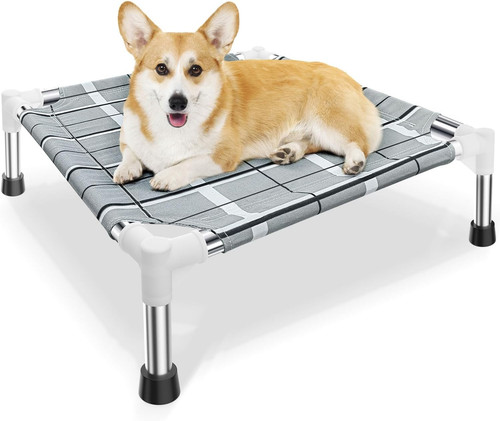 Elevated raised outdoor dog - raised,