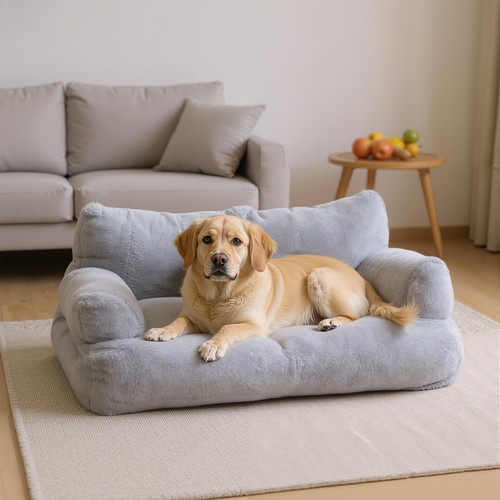 Plush pet dog cat - cat, sofa