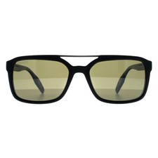 Serengeti Sunglasses Renzo