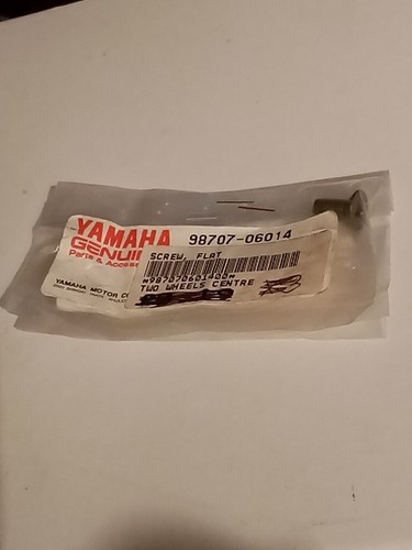 Yamaha screw flat head - screw,,