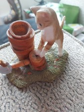 Sherratt & Simpson, Kitten &