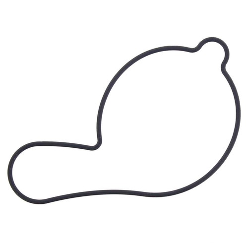 Water pump gasket 734 - water, 734.20.91