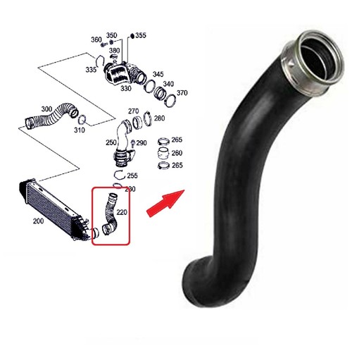 Intercooler pipe turbo - intercooler, hose