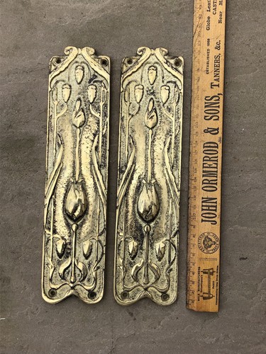 Pair art nouveau brass door - art,
