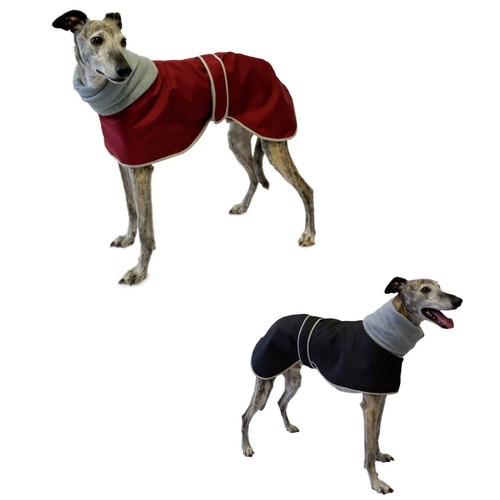 Greyhound polo waterproof dog - waterproof,