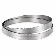 1638 64 1/2 x 13 x 0.50mm M42