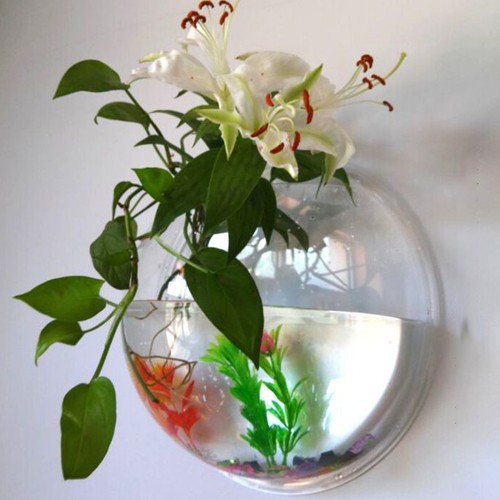 Transparent aquarium planter - transparent,