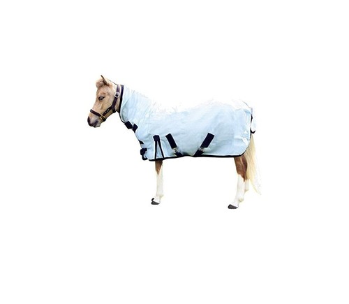 Horse wee small pony - small, fly