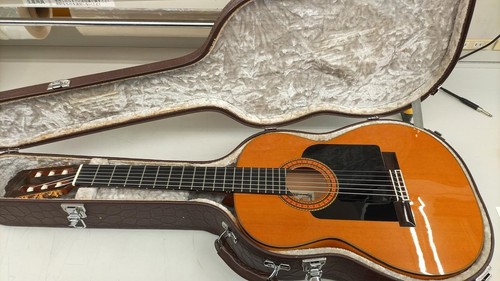Asturias flamenco custom - flamenco, c