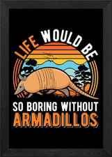 Armadillo Gift Framed Wall Art