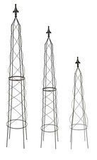 Garden Obelisks Climbing Plant