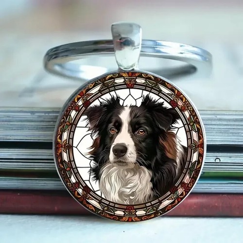 Border collie dog - sheep,