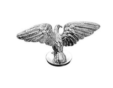 Wide Winged Silver Eagle