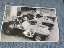 1960's SHELBY COBRA RACE CARS