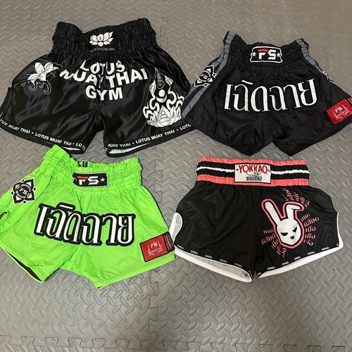 Muay thai kickboxing - muay, shorts