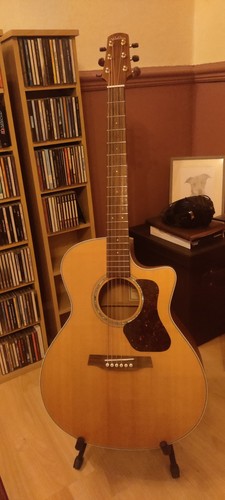 Walden g740ce electro acoustic - walden,