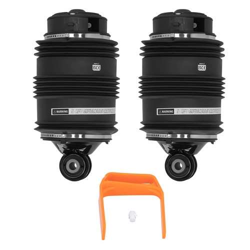 Pair rear air springs - pair, pins)