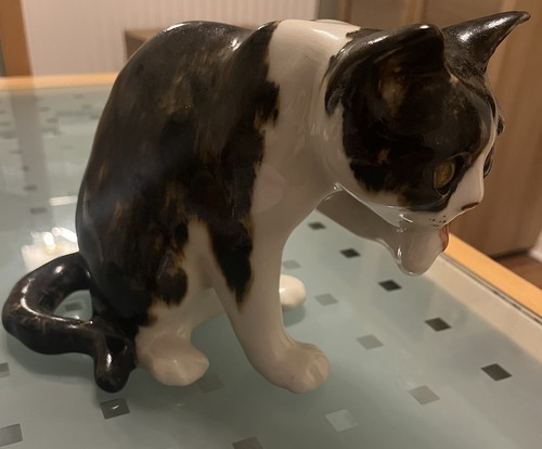 Size winstanley cat - cat, .