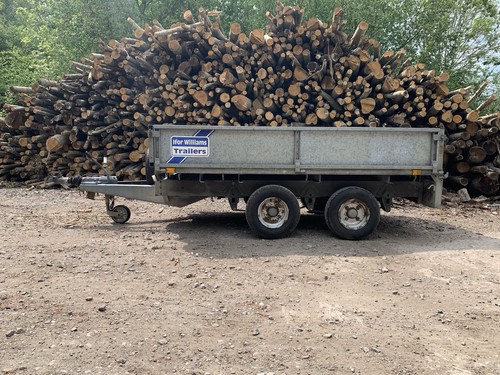 Ifor williams lt85g - williams,