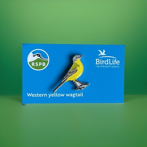 Rspb pin badge new western - *new,