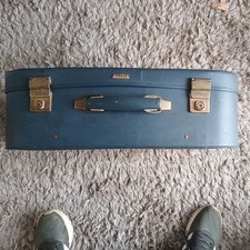 Large Vintage Blue Antler