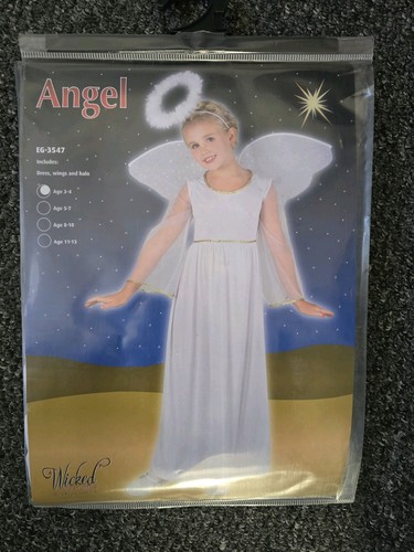 Angel costume fancy dress - costume,