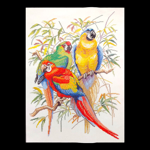 Eva rosenstand macaw - rosenstand, parrot