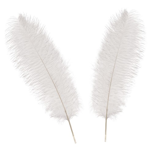 Large ostrich feathers plume - ostrich,