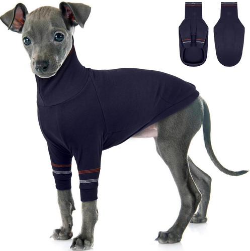 Greyhound dog sweater - dog, italian
