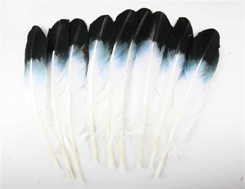 100pcs black white turkey - black,