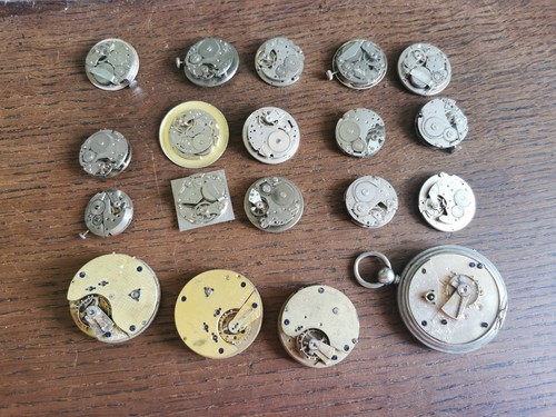 Watch pocket - watch,