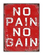 " No Pain No Gain " Fitness