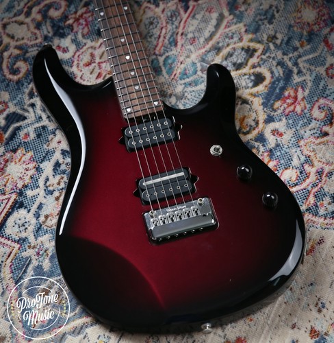 Ernie ball music man - ernie,