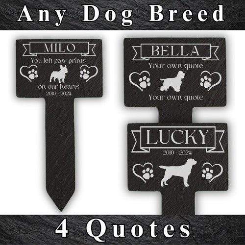 Personalised dog engraved - personalised,