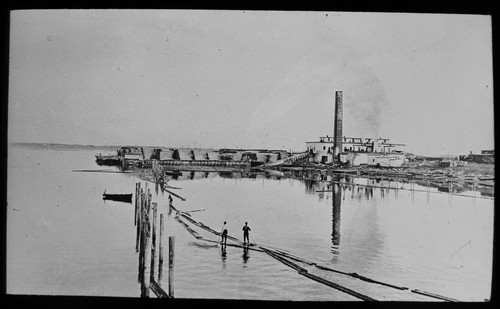 Lumbermill bathurst - at,