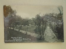 RP of Newlyn & Ball Tea