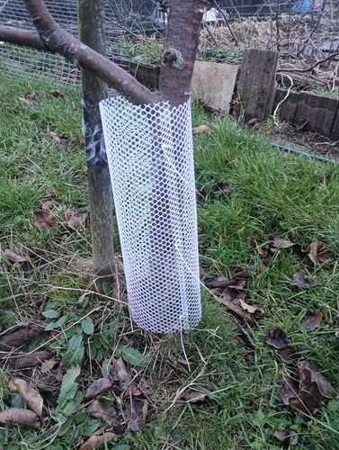 Mesh tree guard trunk - ft/6m,