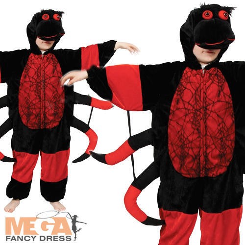 Spider kids insect animal - insect,