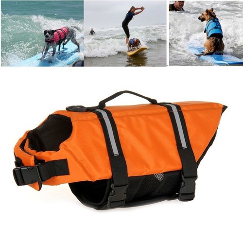 Dog life jacket pet safety - dog,
