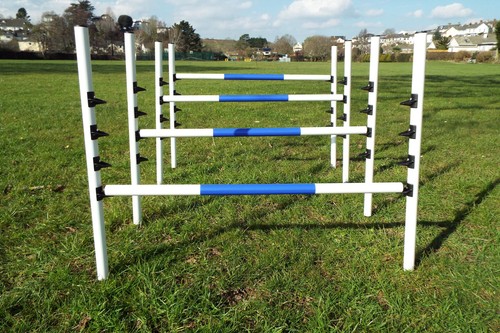 Dog agility equipment - agility,