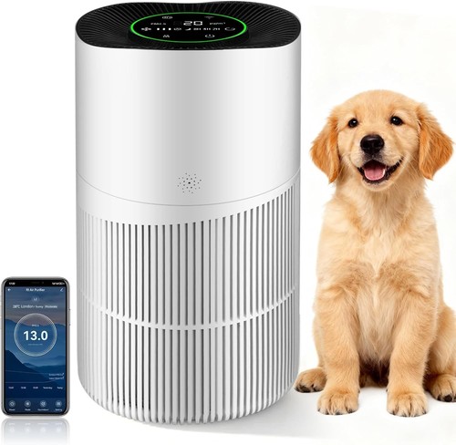 Air purifiers for large - air,