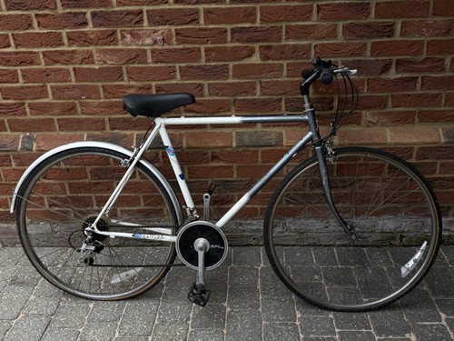 Raleigh pioneer spirit bike - raleigh,