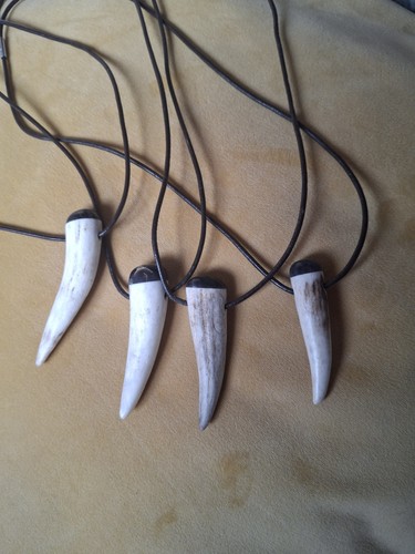 Deer antler tip - antler,