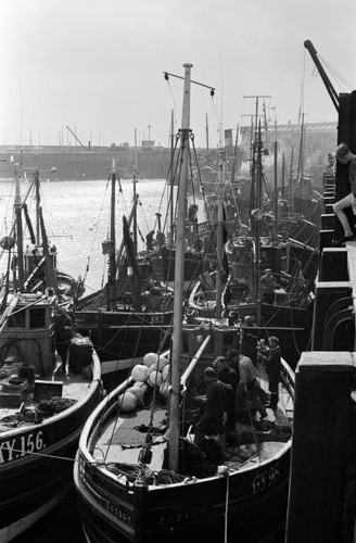 Fishing boats scarborough - in,