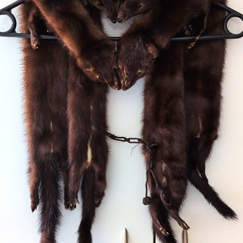 Real mink fur stole - fur,